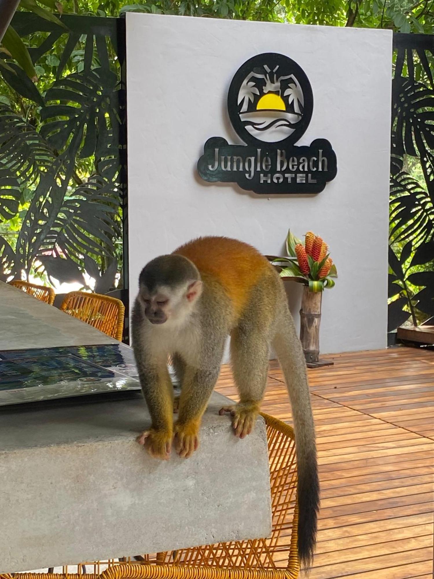 Jungle Beach Hotel Manuel Antonio Dış mekan fotoğraf