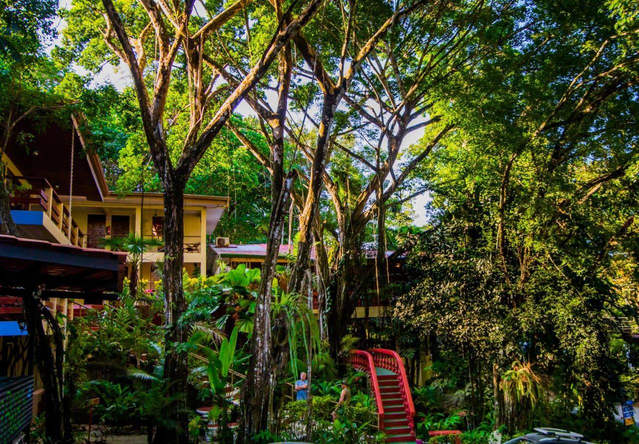 Jungle Beach Hotel Manuel Antonio Dış mekan fotoğraf