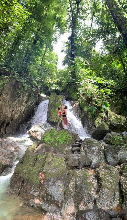 Jungle Beach Hotel Manuel Antonio Dış mekan fotoğraf